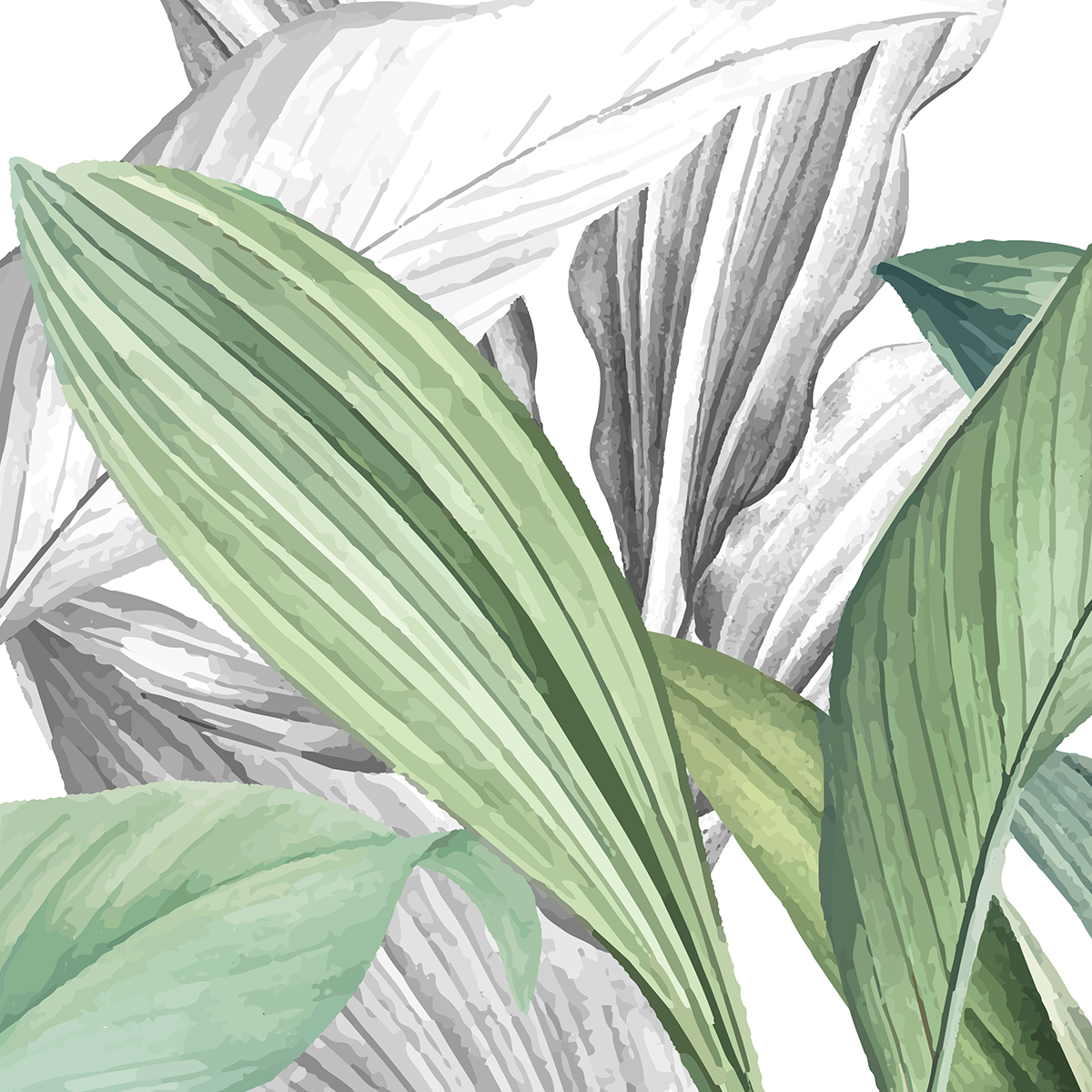 Modern Layered Tropical Leaf Border Mural