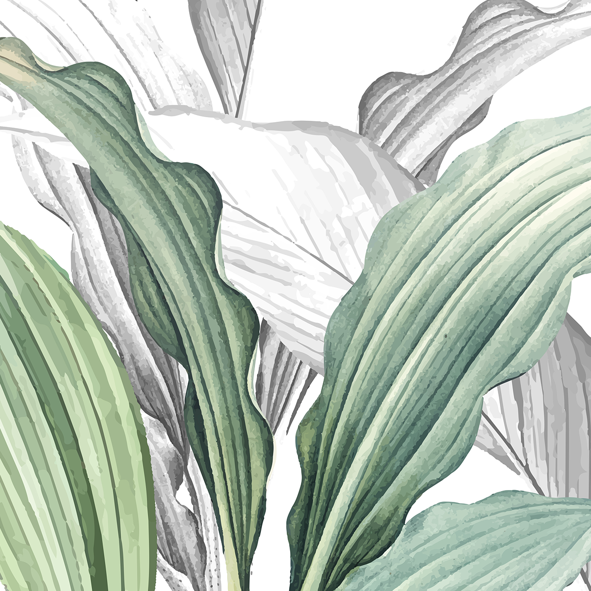 Modern Layered Tropical Leaf Border Mural