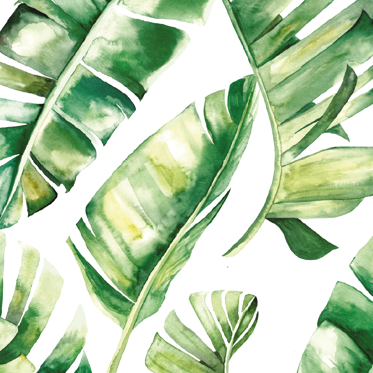 Watercolor Banana Leaves