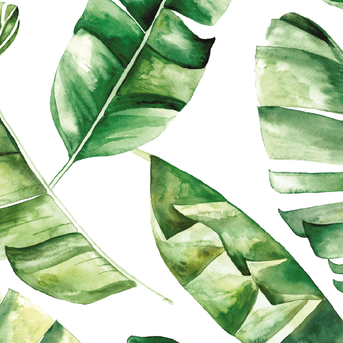 Watercolor Banana Leaves