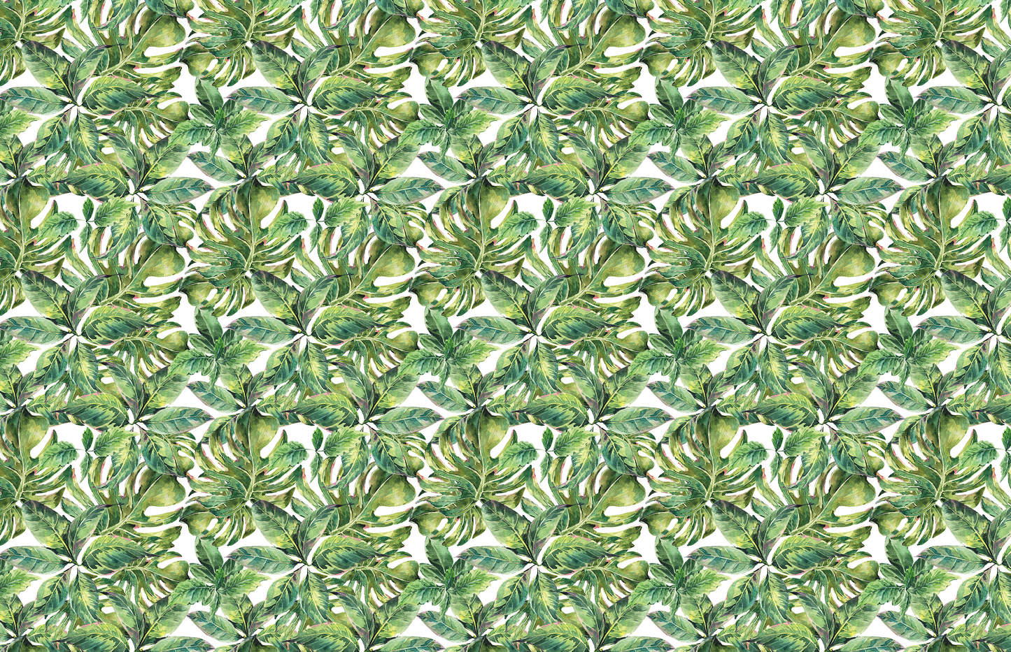 Lush Monstera Canopy
