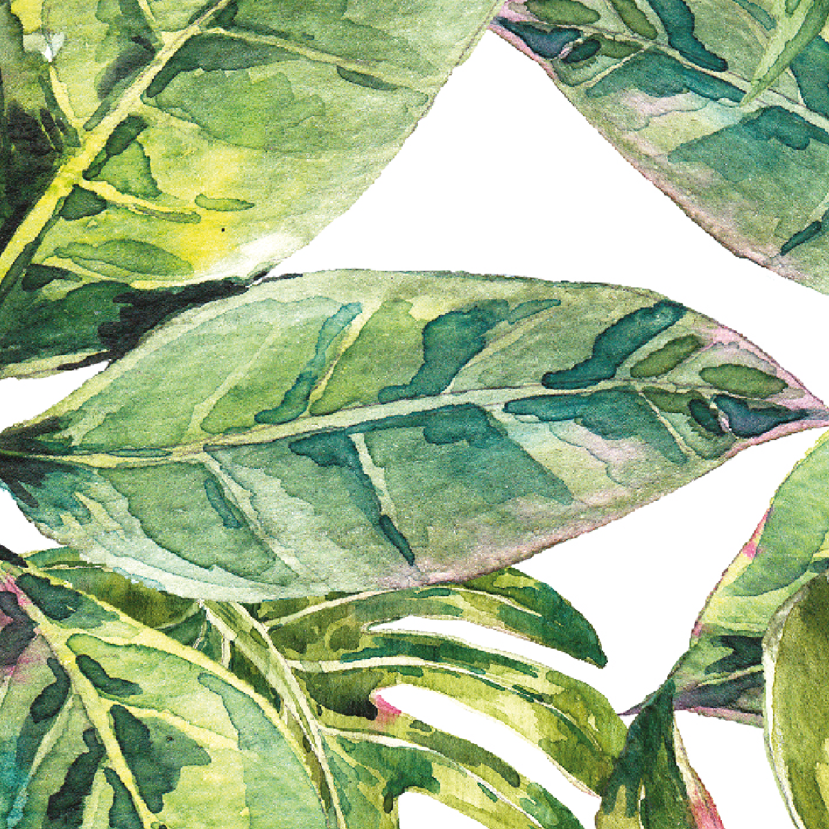 Lush Monstera Canopy
