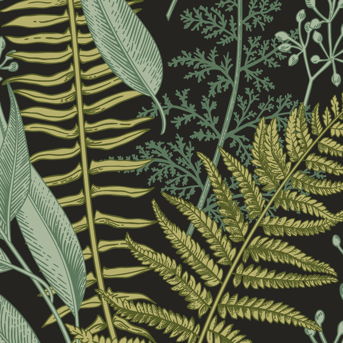 Midnight Fern Sanctuary