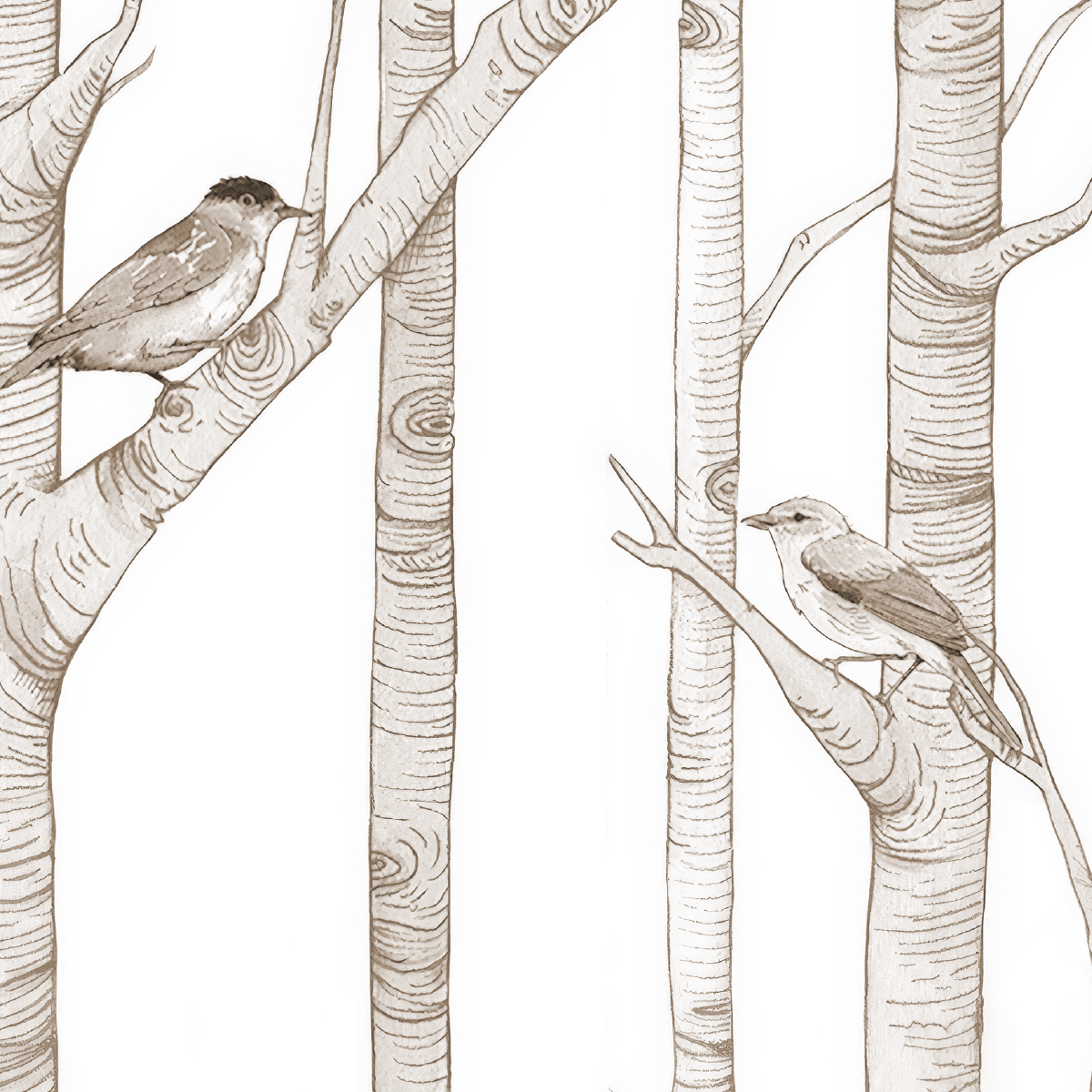 Minimal Birch Forest Mural