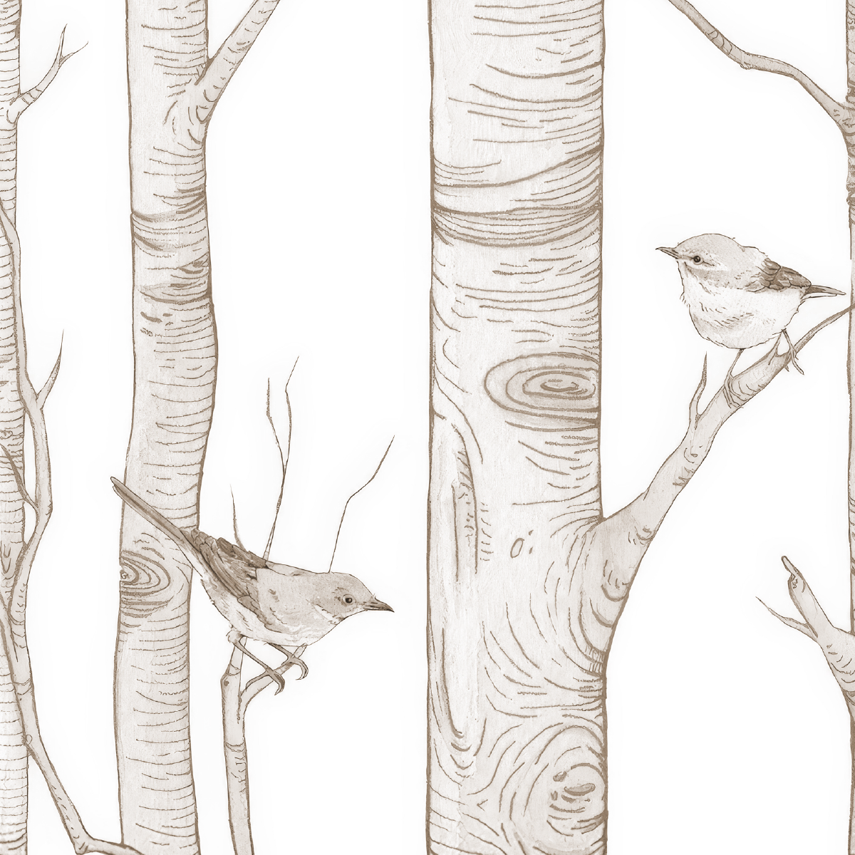 Minimal Birch Forest Mural