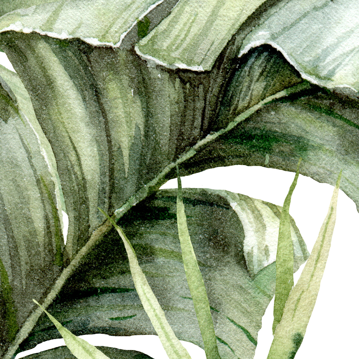 Watercolor Tropical Palms Mural