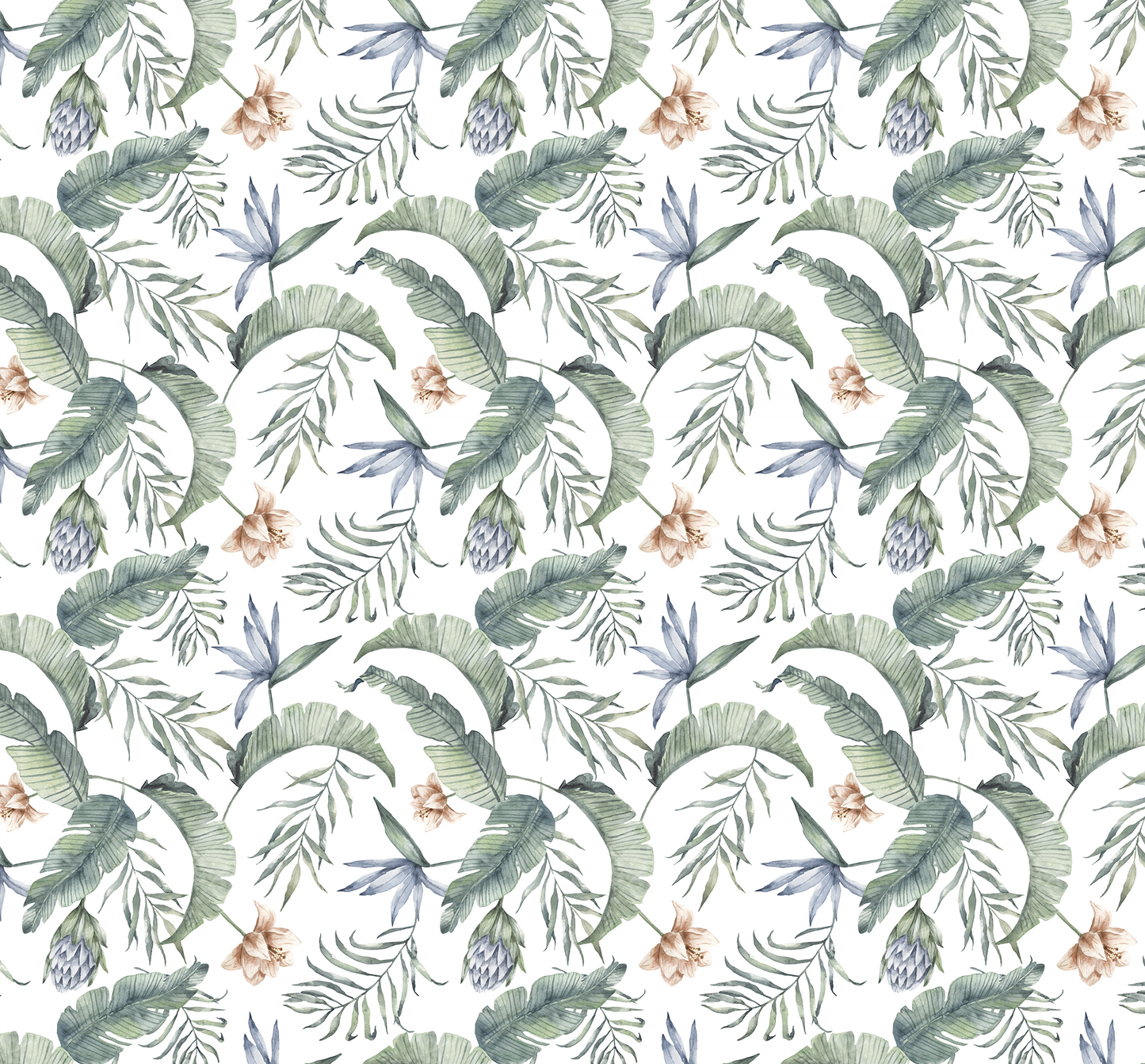 Coastal Tropics