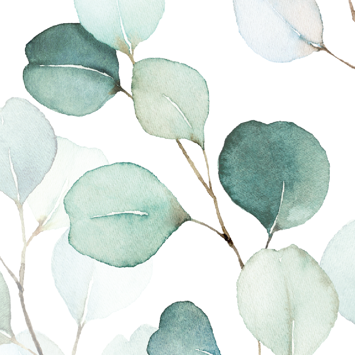 Watercolor Eucalyptus Branches