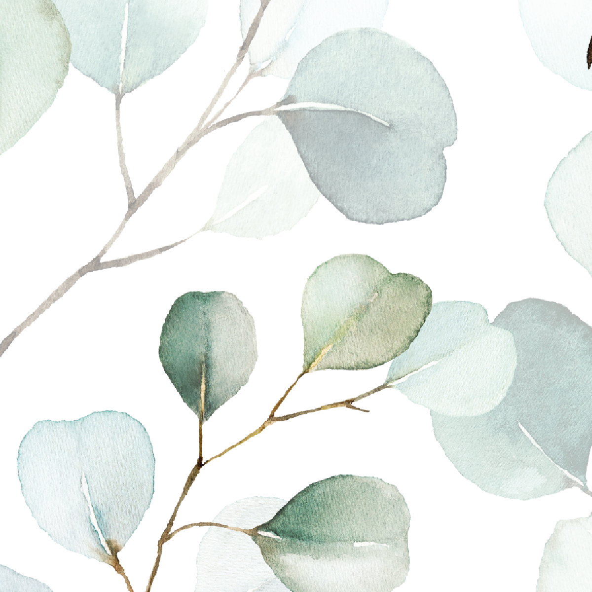 Watercolor Eucalyptus Branches